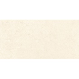 Gạch ốp tường Trường Thịnh ART & STYLE TT36151